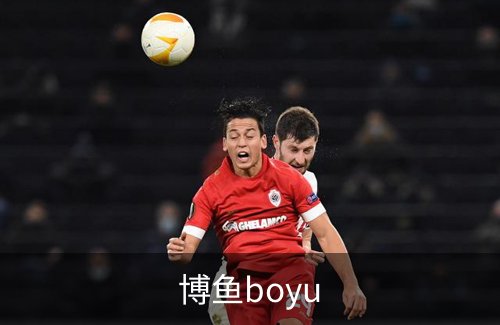 关于博鱼boyu